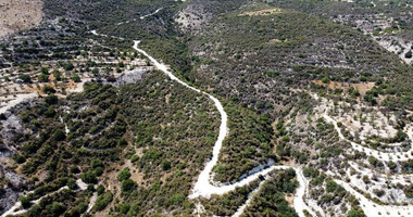 Agriculture land for sale in Laneia village, Limassol