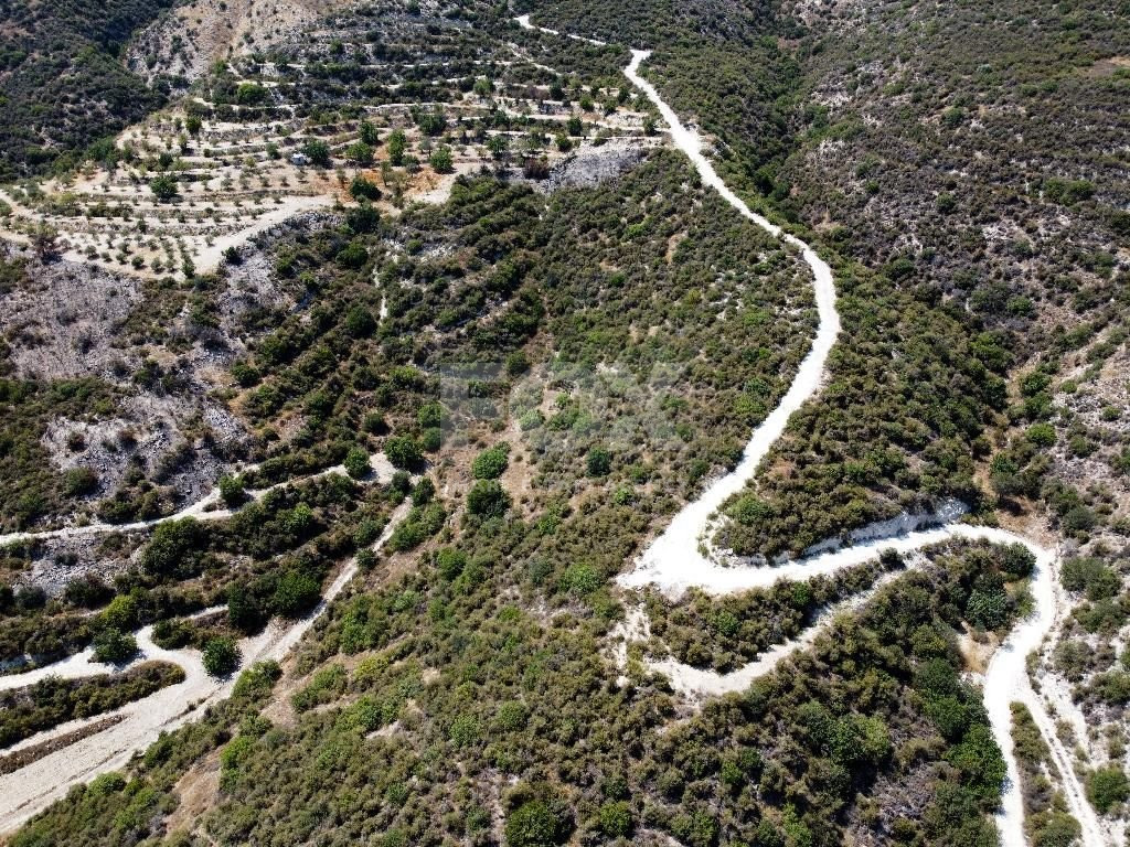 Agriculture land for sale in Laneia village, Limassol