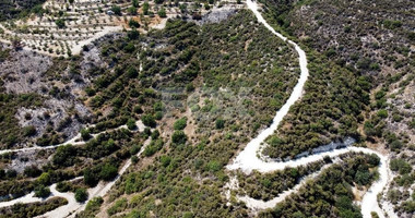 Agriculture land for sale in Laneia village, Limassol