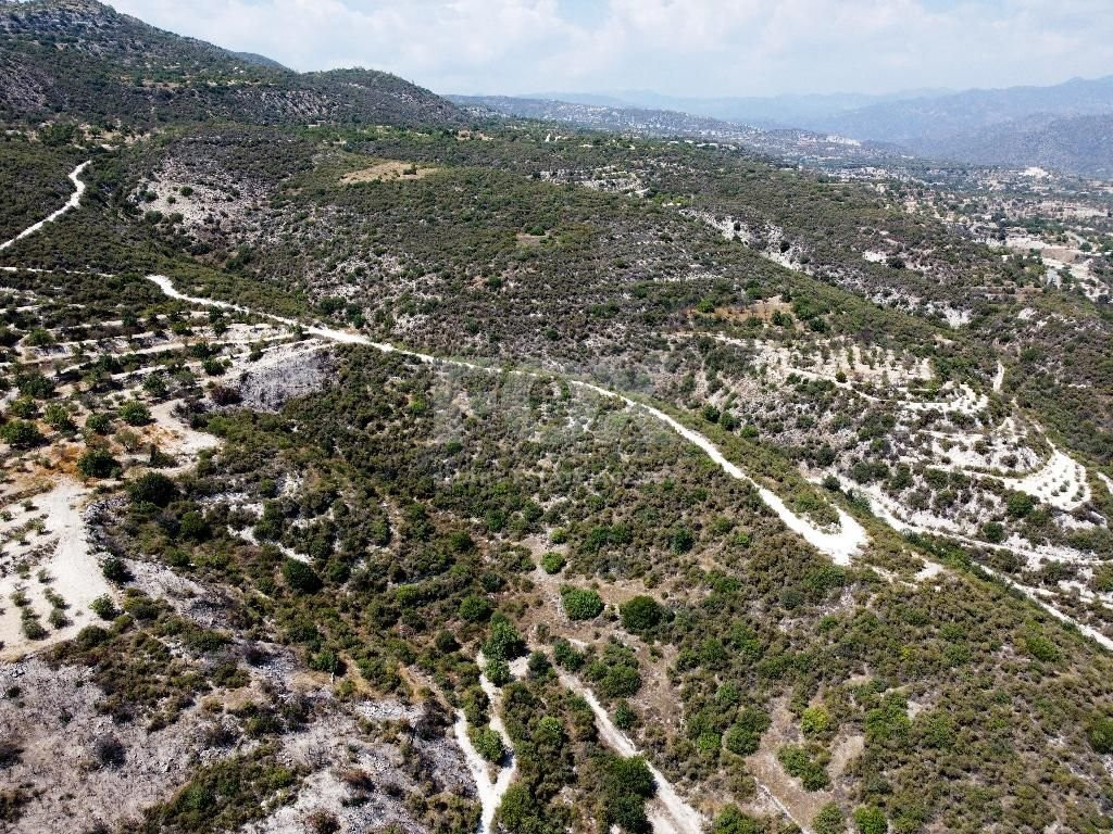 Agriculture land for sale in Laneia village, Limassol