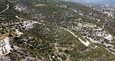 Agriculture land for sale in Laneia village, Limassol