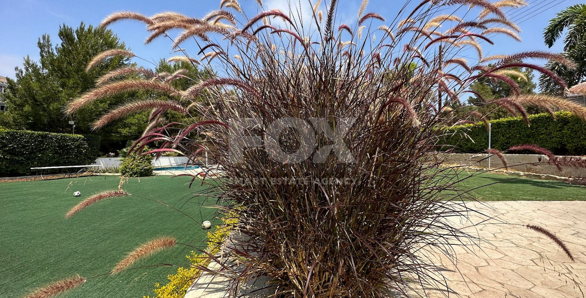 RENT: FURNISHED VILLA 5 BEDROOMS WITH SEPARATE GUEST HOUSE AND SEPARATE MAIDS QUARTER IN AGIOS TYCHONAS WITH SWIMMING POOL