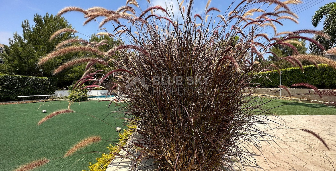 FOR RENT FURNISHED FIVE BEDROOM VILLA  WITH SWIMMING POOL IN AGIOS TYCHONAS - SEPARATE GUEST HOUSE AND SEPARATE MAIDS QUARTER