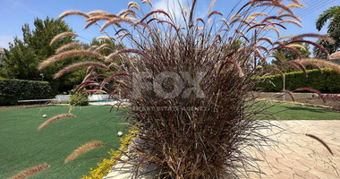 RENT: FURNISHED VILLA 5 BEDROOMS WITH SEPARATE GUEST HOUSE AND SEPARATE MAIDS QUARTER IN AGIOS TYCHONAS WITH SWIMMING POOL