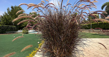 FOR RENT FURNISHED FIVE BEDROOM VILLA  WITH SWIMMING POOL IN AGIOS TYCHONAS - SEPARATE GUEST HOUSE AND SEPARATE MAIDS QUARTER