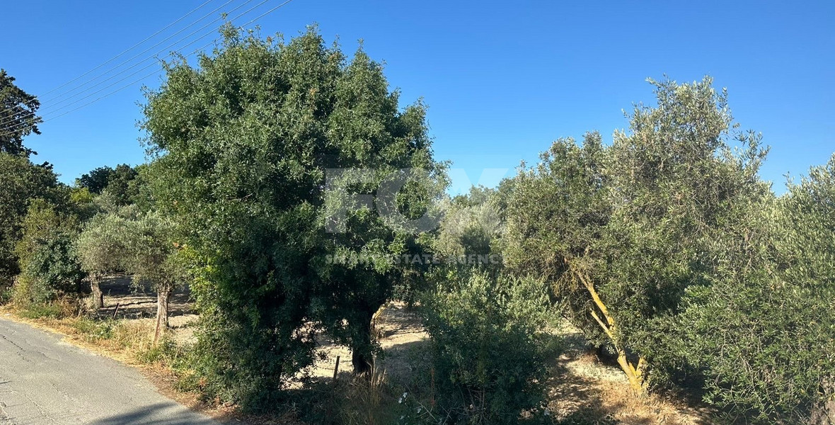 Residential Plot for Sale in the Charming Community of Polemi, Paphos