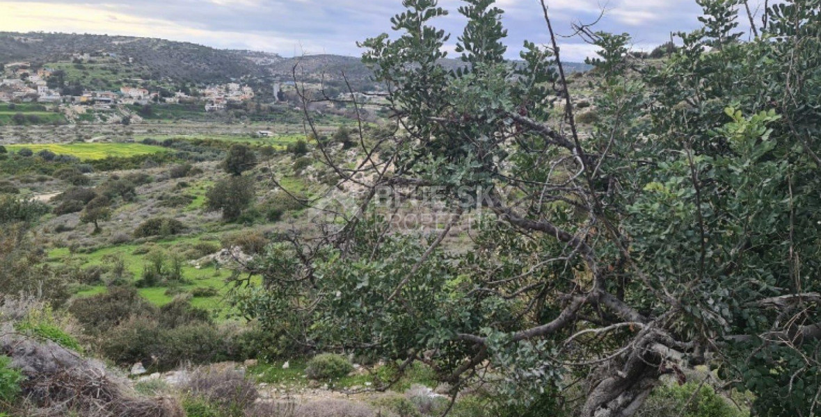 Land For Sale In Erimi Limassol Cyprus