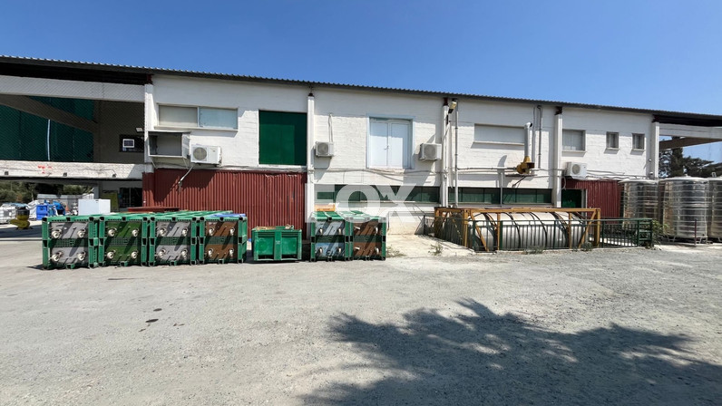 Warehouse 1000 m² for rent in Erimi, Limassol, Cyprus