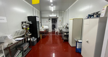 Warehouse for rent in Erimi Area