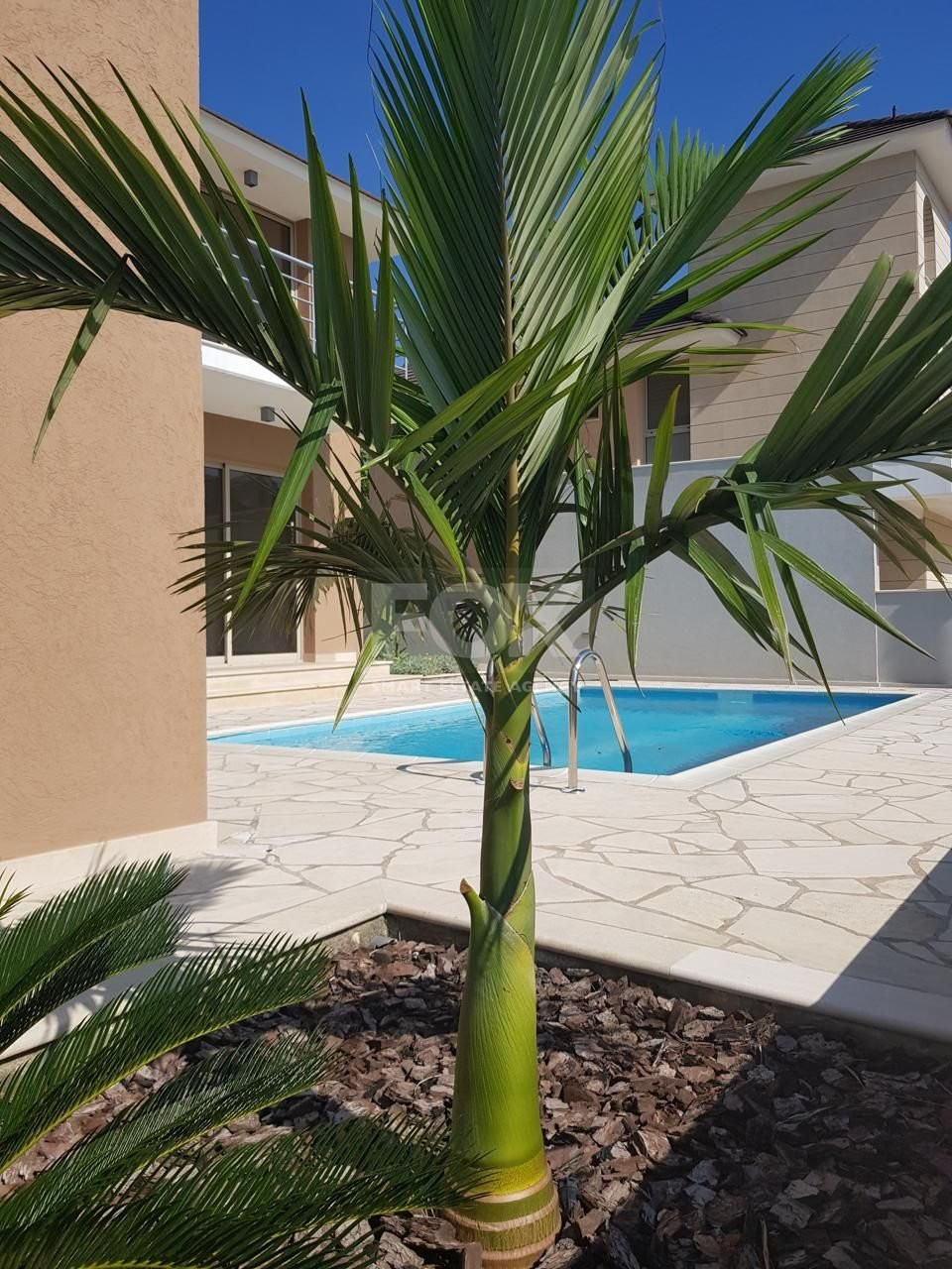 4 Bed House For Sale In Pyrgos Lemesou Limassol Cyprus