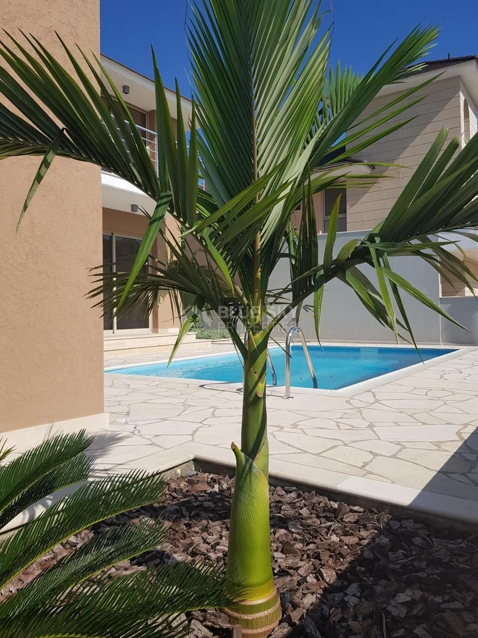 4 Bed House For Sale In Pyrgos Lemesou Limassol Cyprus