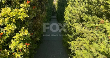 Modern luxury 4 bedroom house + studio for sale in Erimi - Limassol