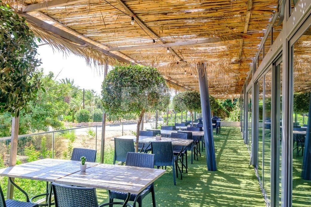 Studio for sale in Latchi, Paphos
