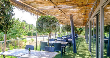 Studio for sale in Latchi, Paphos