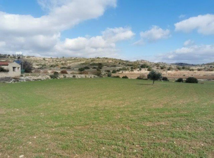 Parcelas  Pissouri Municipality, Chipre