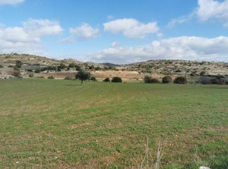 Parcelas  Pissouri Municipality, Chipre