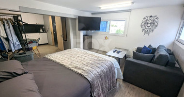 Luxury office  for rent in Agios Georgios Havouzas , Limassol