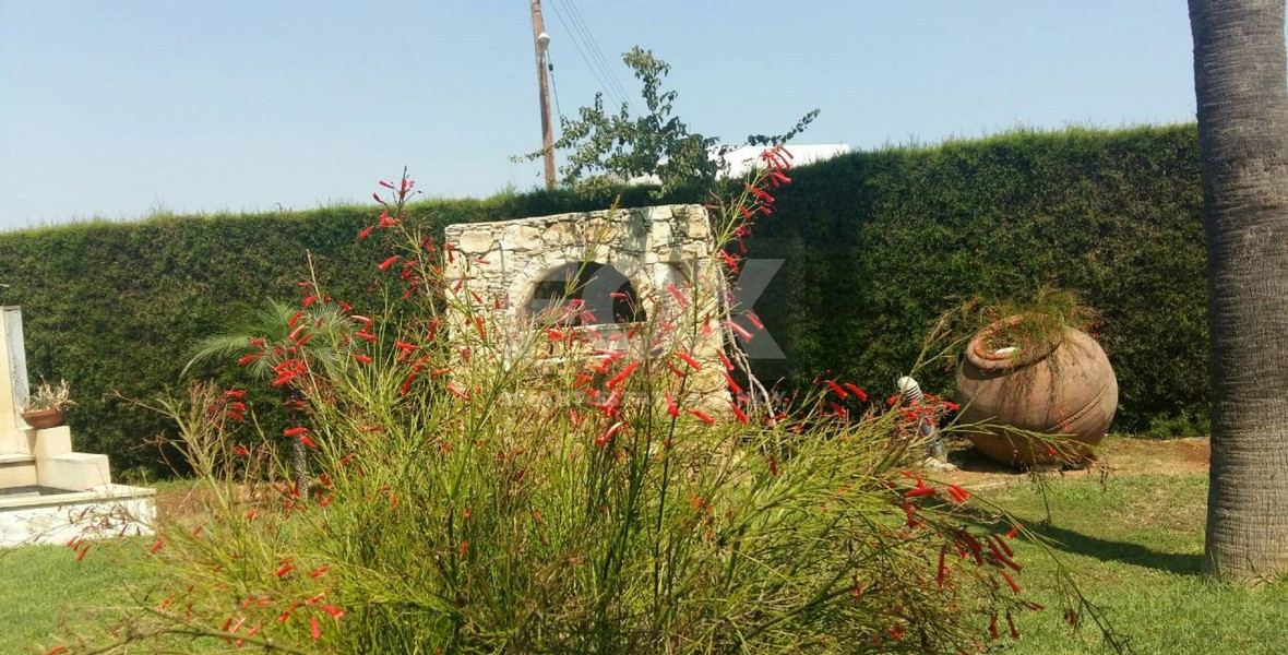 4 Bed House To Rent In Ypsonas Limassol Cyprus