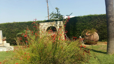 4 Bed House To Rent In Ypsonas Limassol Cyprus