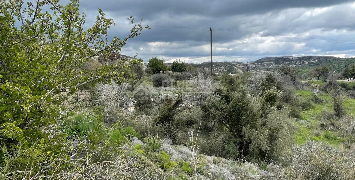 Beautiful Residential Plot for Sale – Marathounda, Paphos