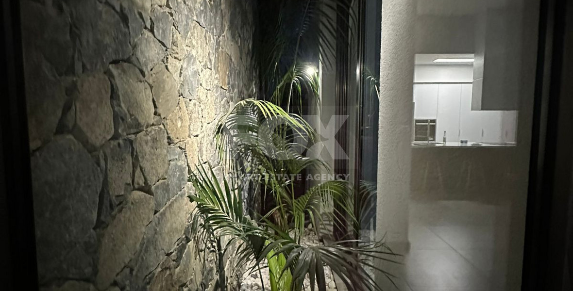 Three bedroom luxury house for rent in Germasogeia