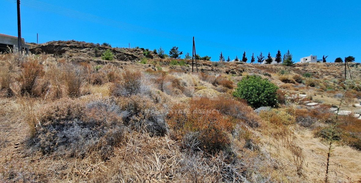Plot In Argaka village- Special offer for quick sale - No VAT