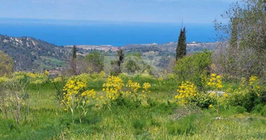 For Sale Residential Development Land In Polis Chrysochous