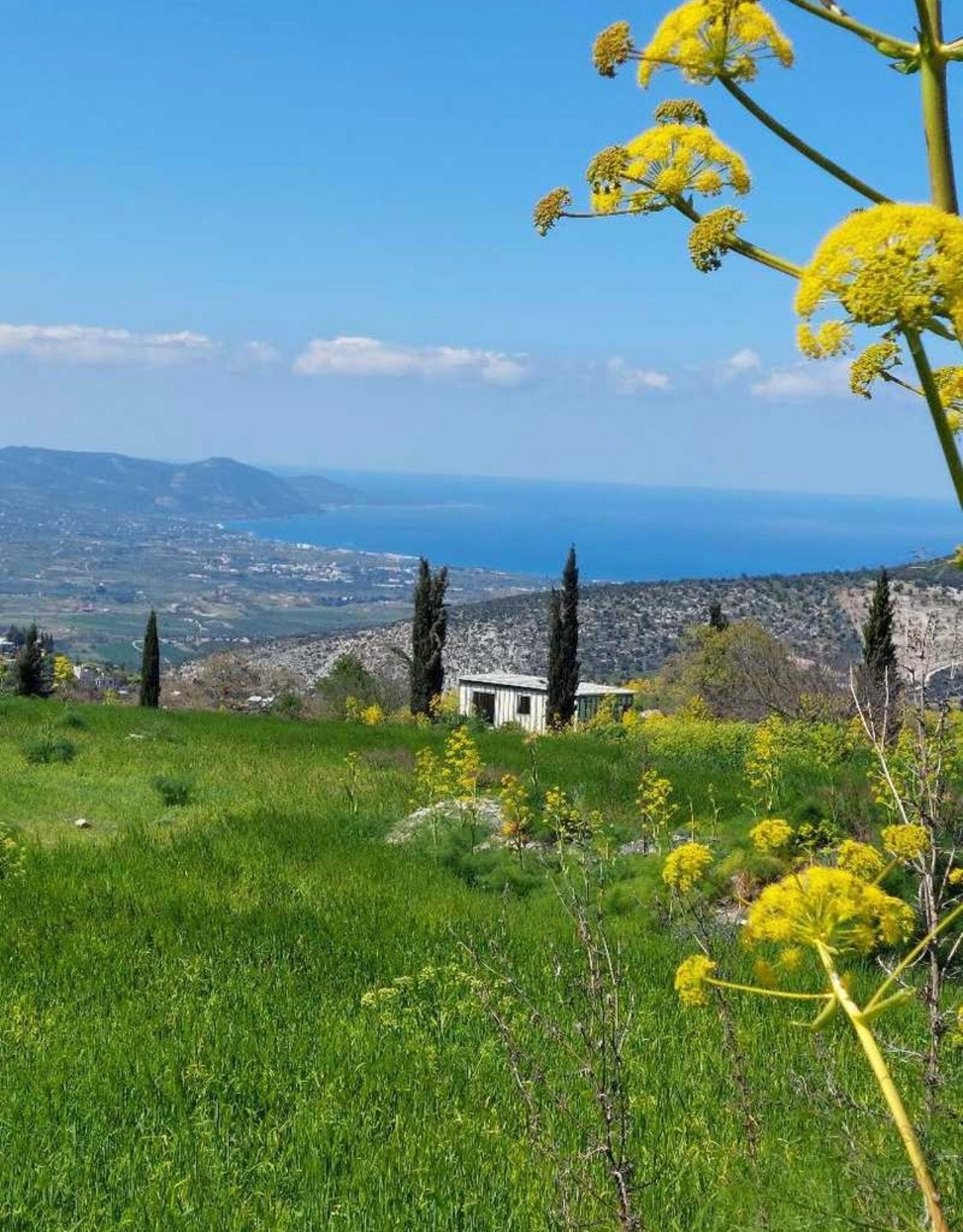 Wohnung  Polis, Zypern