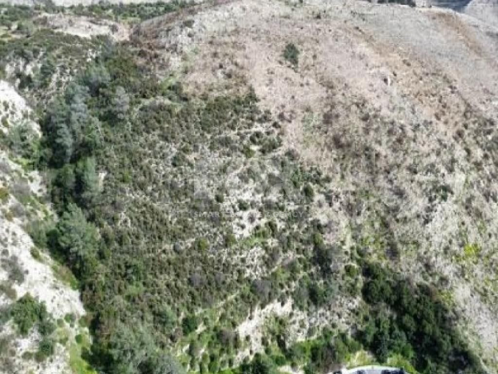 Agriculture land for sale in Gerasa village, Limassol