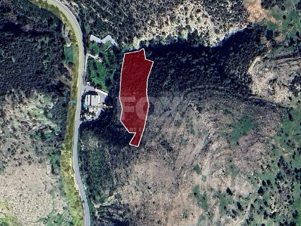 Agriculture land for sale in Gerasa village, Limassol