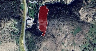 Agriculture land for sale in Gerasa village, Limassol