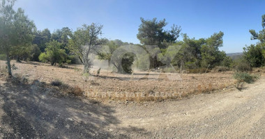 Spacious Land for sale in Doros village