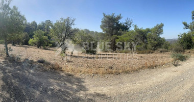 Spacious Land for sale in Doros village