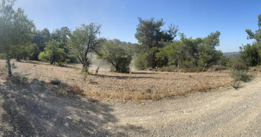 Spacious Land for sale in Doros village