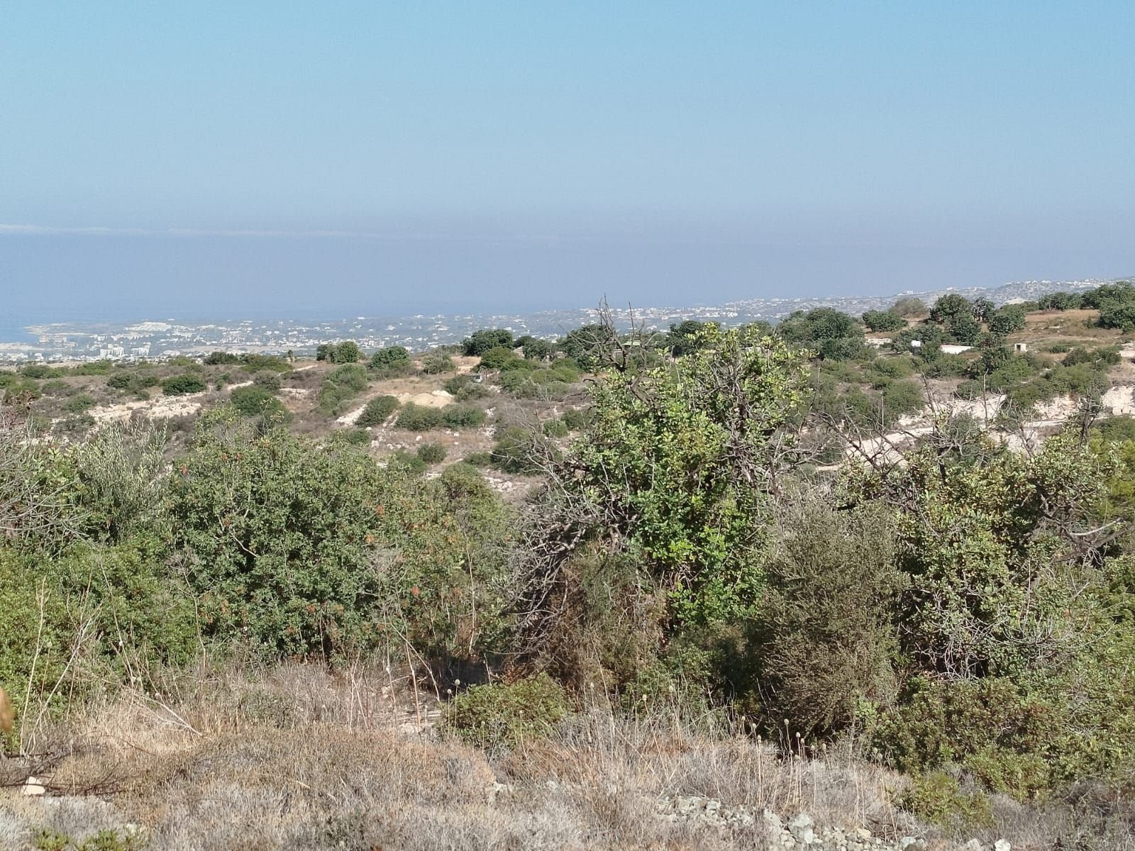 Appartement  Tala, Chypre