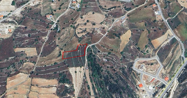 Large 3295 m2 Plot for Sale in Pachna