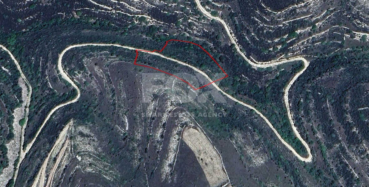 Large 7358 m2 Field for Sale in Kissousa