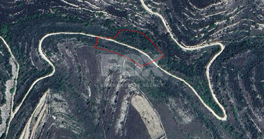 Large 7358 m2 Field for Sale in Kissousa