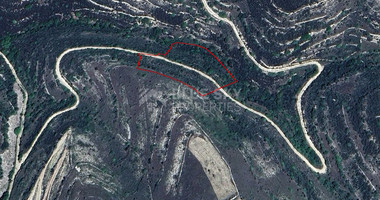 Large 7358 m2 Field for Sale in Kissousa