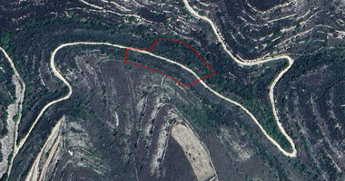 Large 7358 m2 Field for Sale in Kissousa