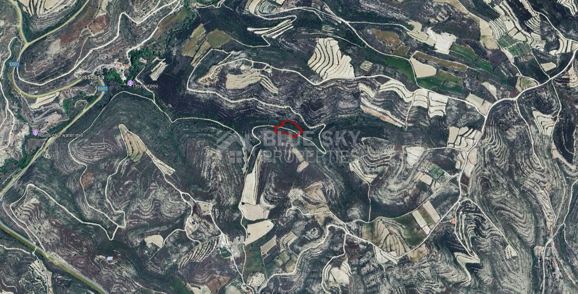 Large 7358 m2 Field for Sale in Kissousa