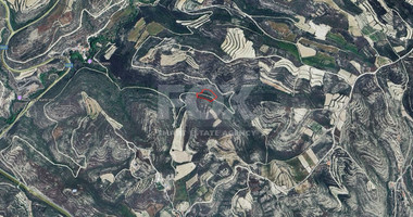 Large 7358 m2 Field for Sale in Kissousa