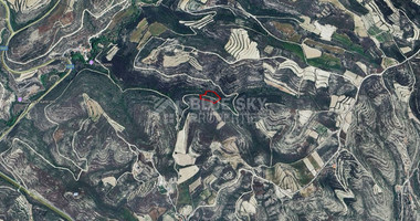Large 7358 m2 Field for Sale in Kissousa