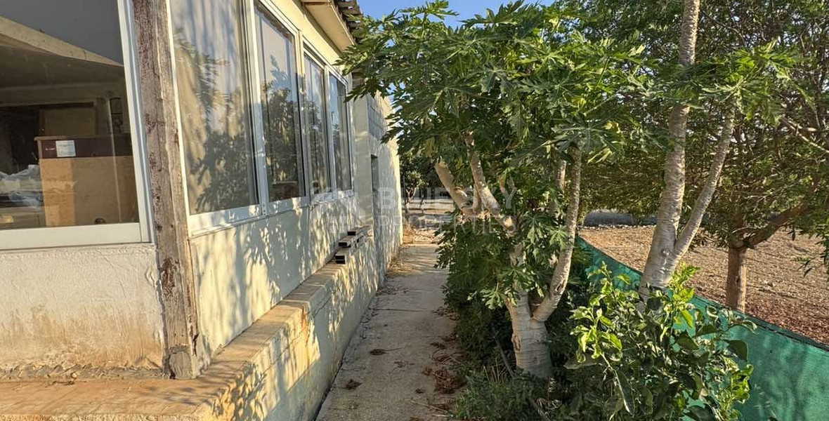 For sale, a three-bedroom bungalow in the Chloraka community in the Paphos district.