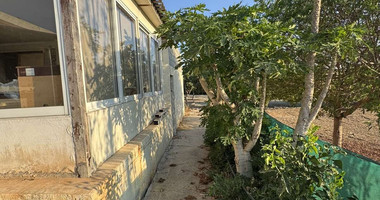 For sale, a three-bedroom bungalow in the Chloraka community in the Paphos district.