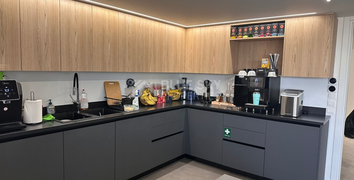 Luxury offices for rent  in Agios Athanasios