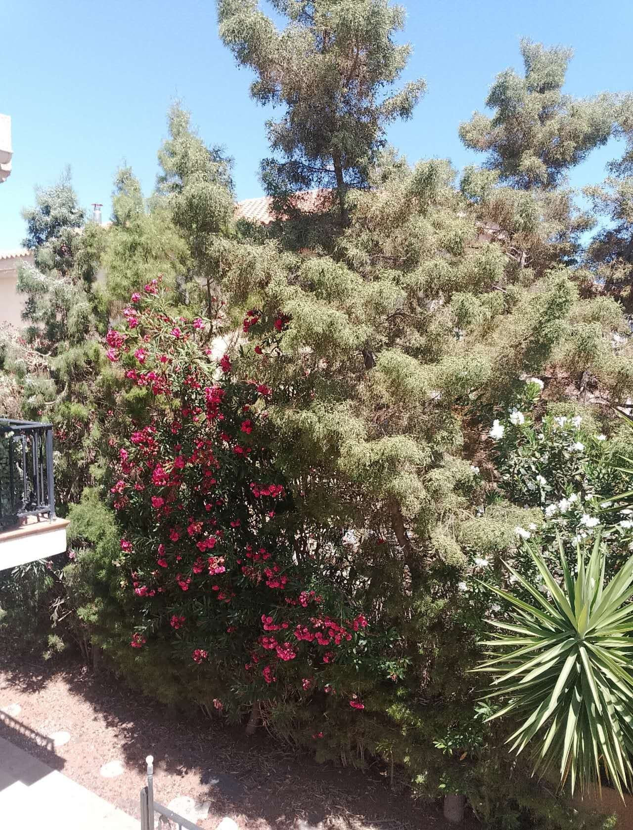 Villa 4 chambres 188 m² Mouttagiaka, Chypre