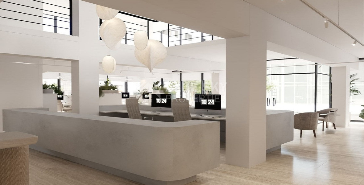 Modern Commercial Space to Rent in Katholiki