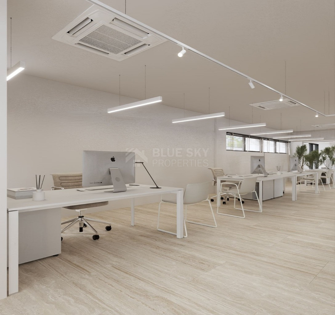 Modern Commercial Space to Rent in Katholiki