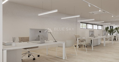 Modern Commercial Space to Rent in Katholiki
